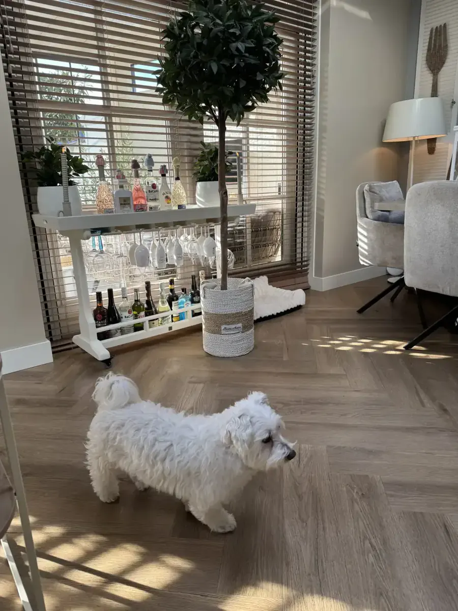 Visgraat PVC vloer in een woonkamer