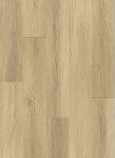 Gelasta Intense klik-PVC
