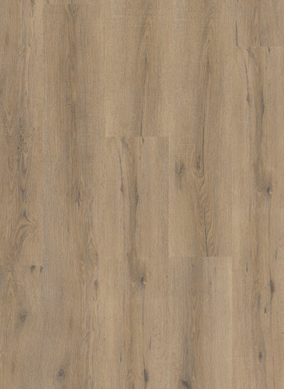 City 4600 Smoked Oak Light